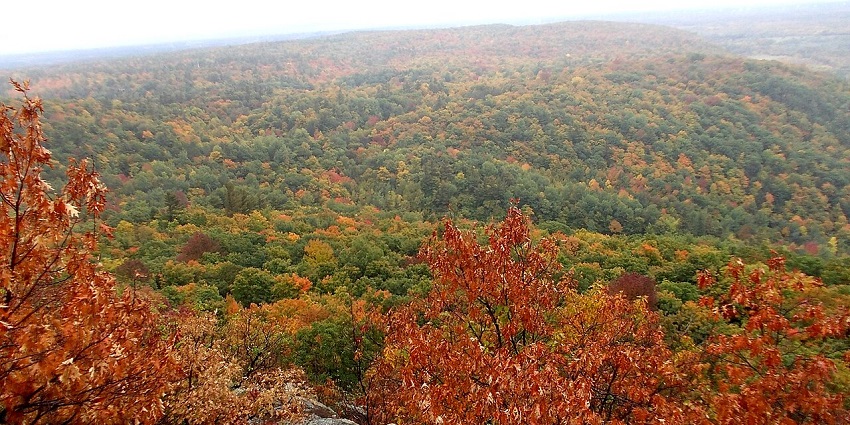 Hiking trail in Gatineau Park, surrounded by vibrant autumn trees, one of the top places to visit near Ottawa.