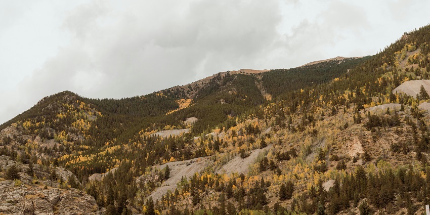 Mountain landscape with rugged peaks, pine trees under the sky in a natural setting.