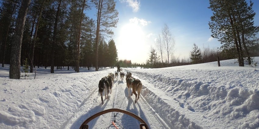 Going dog sledging is one of the most thrilling things to do in Lapland.