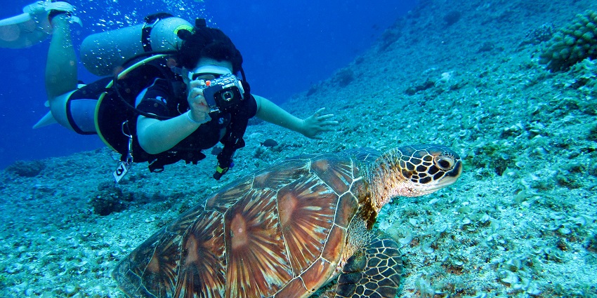 Tropical dive site with coral reefs, marine life, and clear waters off Krabi’s coast, one of the best things to do in Krabi for bachelors.