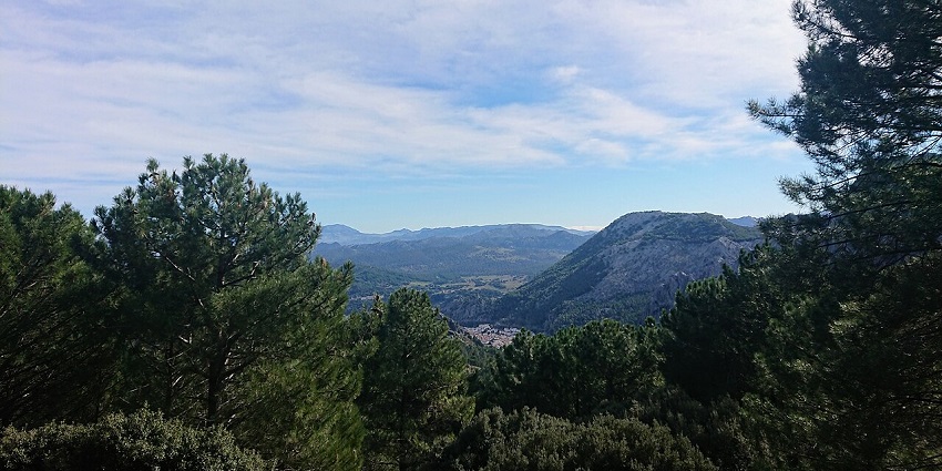 Grzalema in Spain with tall green trees, distant buildings and houses surrounded by hills.
