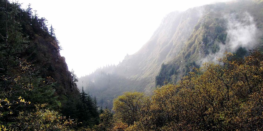 Autumn landscape along the Perseverance Trail with golden foliage covering the hillside.