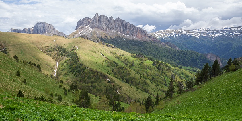 Scenic forest trail winding through the lush greenery of the Skrim Mountains.