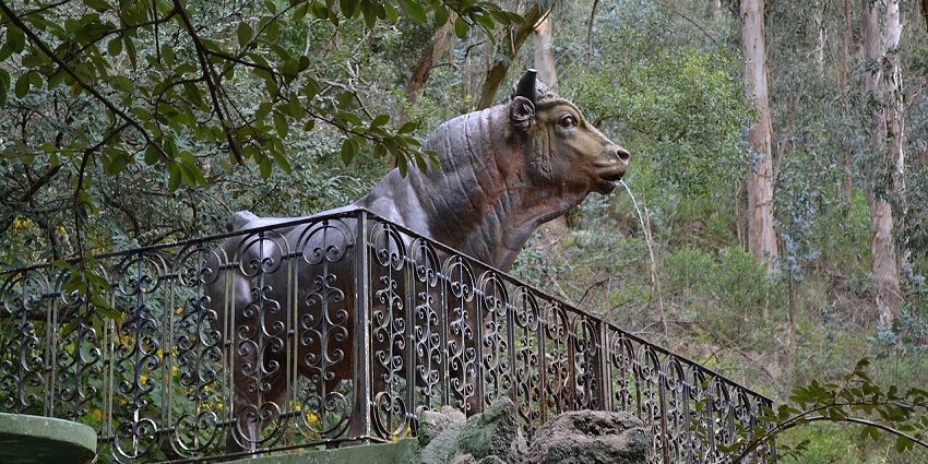 Cerro del Toro with a statue of a bull and a thin water stream coming out from the mouth of the bull.
