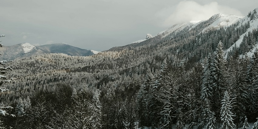 Snow-covered Jahorina mountain with trees and distant clouds on a winter day.