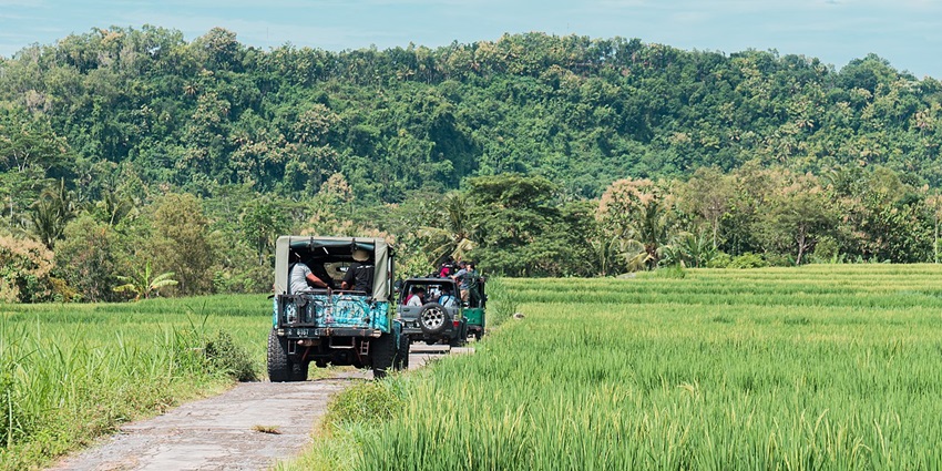 Breathtaking Kalibiru National Park with panoramic views, one of the best places to visit near Yogyakarta.