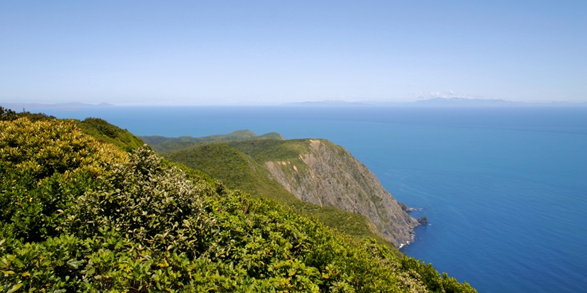 Kapiti Island is viewed from the shore, with native bush and calm waters under a clear sky.