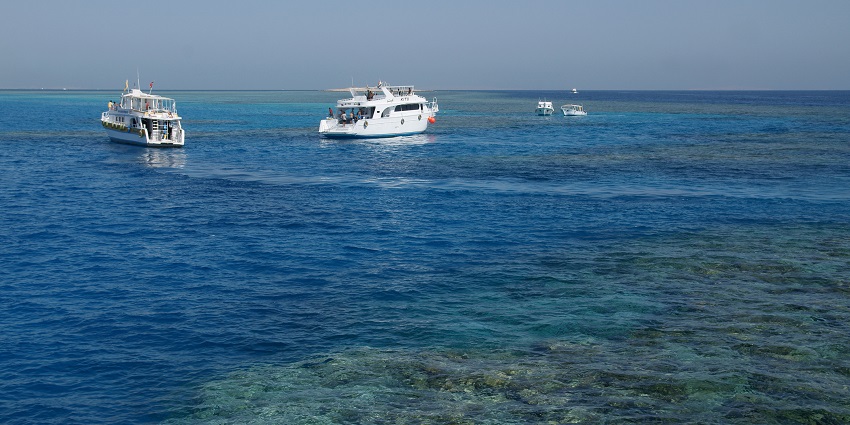 Multiple white boats in the sea with vibrant coral reefs can be seen in the water.