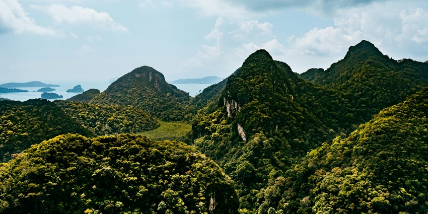 Mount Kinabalu view from forest trail, one of the top places to visit near Kota Kinabalu.