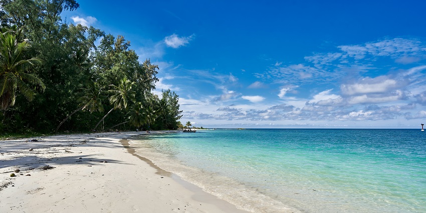 Sandy beach on Koh Phangan with clear blue water and palm trees in the background.