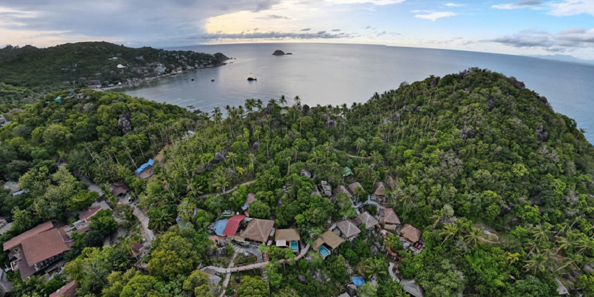 Koh Tao from above with dense greenery, tall palm trees and the sea, one of the top places to visit near Koh Samui.