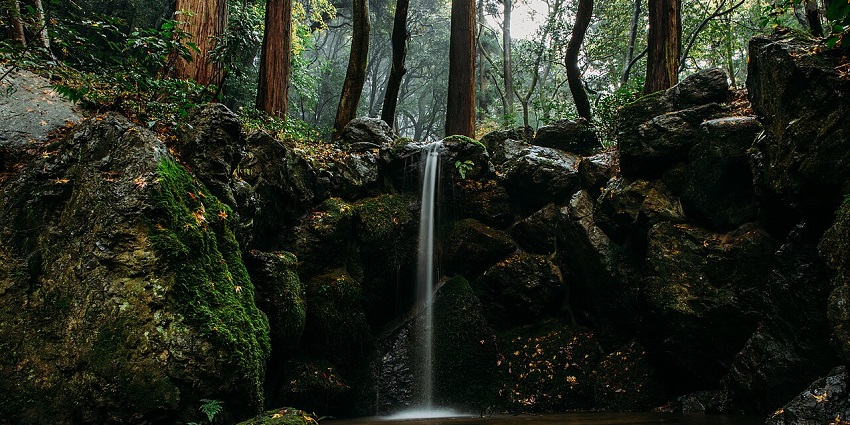 Waterfalls are all over Japan, and the best time to see them is in the fall when they're surrounded by vibrant koyo.