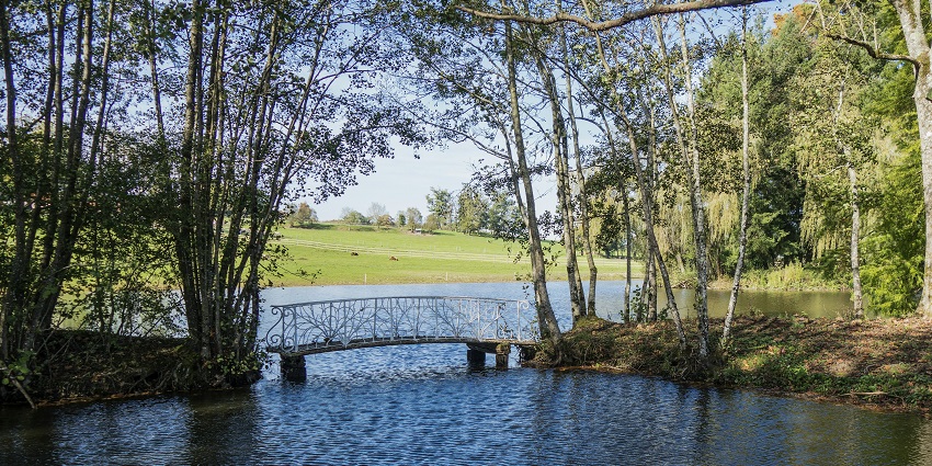 The La Dombes region near Lyon, with pond and bridge,, amongst the best places to visit near Lyon.