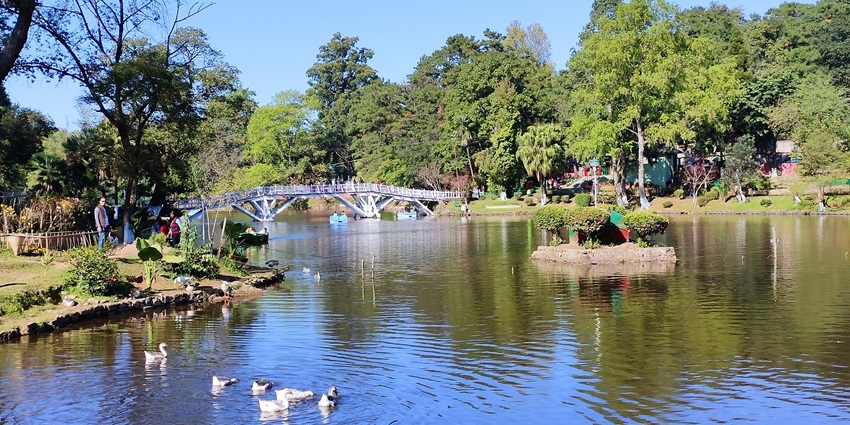 Scenic view of Ward’s Lake with footbridge, lush greenery, and calm water in Shillong, Meghalaya