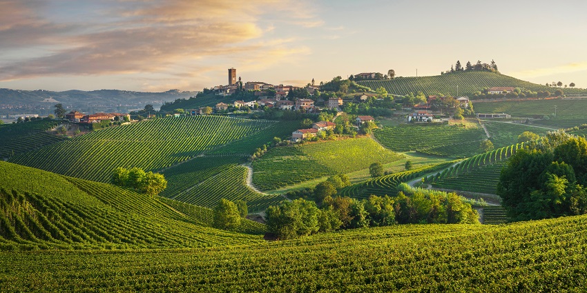 The Langhe hills with small farms, step farms, buildings on the side, and small walking pathways in between.