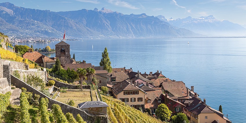 Vineyard slopes above tiled-roof houses with a calm lake and mountains in the background.