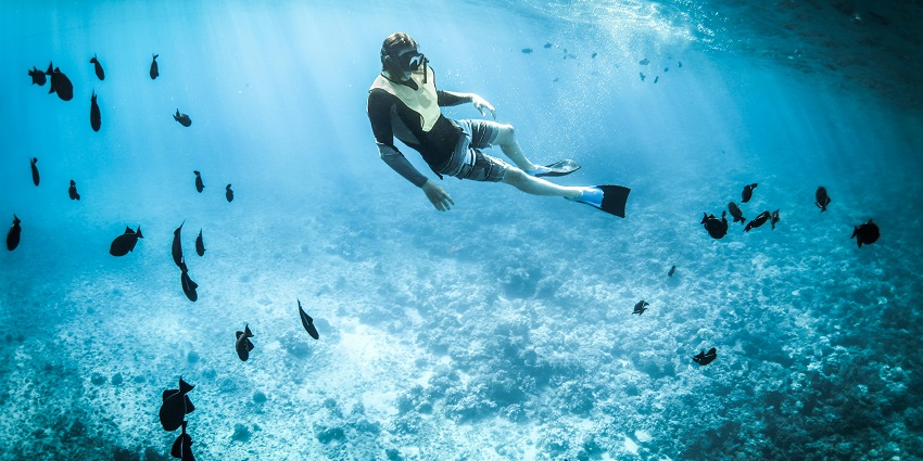 A person snorkelling with an uneven surface at the bottom, corals, and multiple unique fish.