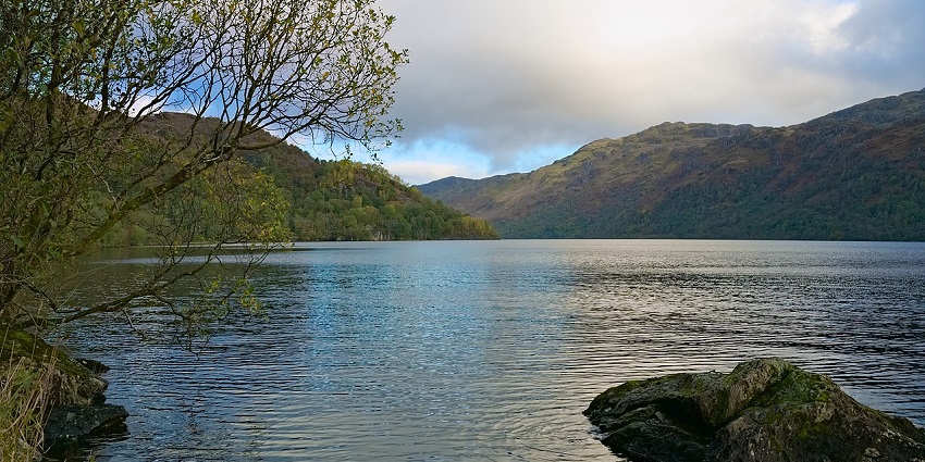 Tranquil loch with rocky shore, lone tree, and green hills, amongst the top places to visit near Edinburgh.