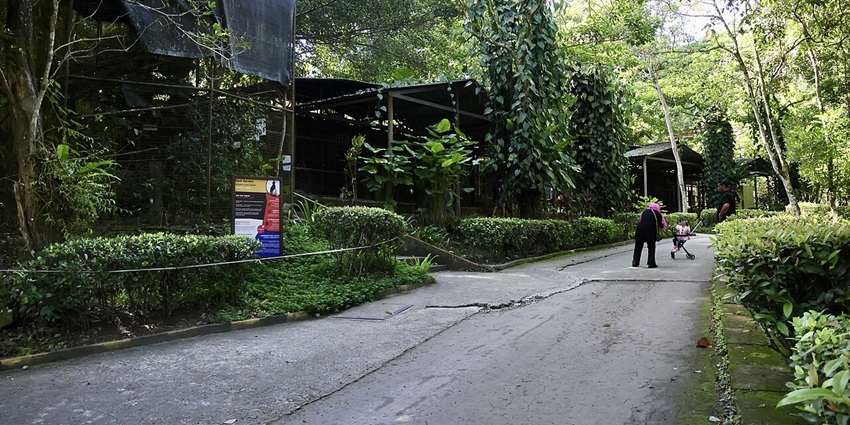 Visitors walking along a path in Lok Kawi Wildlife Park surrounded by dense greenery.