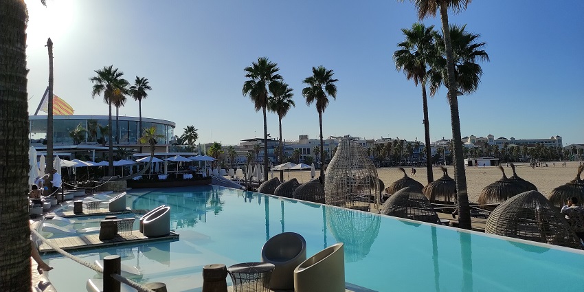 Beach club with clear water of a swimming pool, tall palm trees and unique chairs nearby.
