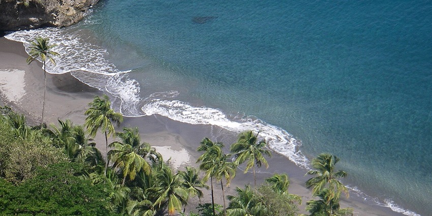 Martinique beach from above with low tide waves of sea, sandy shoreline, and palm trees.
