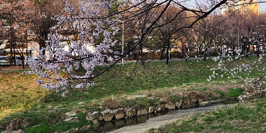 Minoh Park, a peaceful nature escape and popular places to visit near Osaka.
