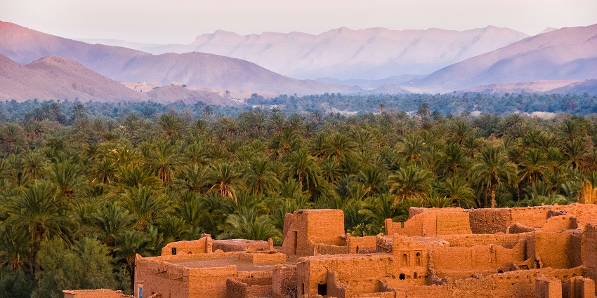Oasis Tamnougalt, Morocco, is one of the most serene places to visit near Spain.
