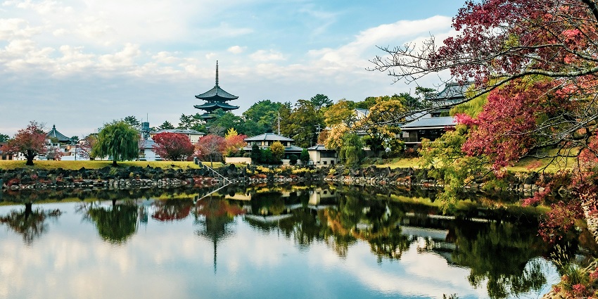 Scenic pond view in Nara Park surrounded by trees and historic temple architecture nearby.