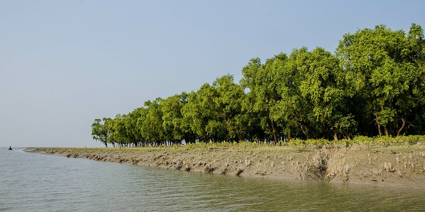 Serene Nijhum Dwip with untouched beaches and rich wildlife, one of the hidden places to visit near Dhaka.
