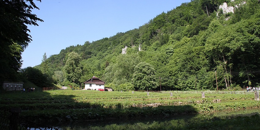 Small house in a green valley surrounded by dense forest and rocky hills under a blue sky.