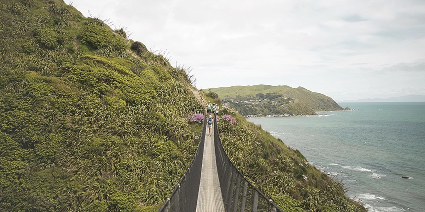 Breathtaking Paekākāriki Escarpment Track, a scenic place to visit near Wellington with coastal views.