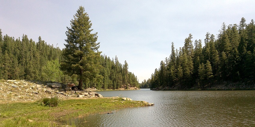 Bear Canyon Lake in Payson surrounded by forest, a peaceful place to visit near Phoenix.