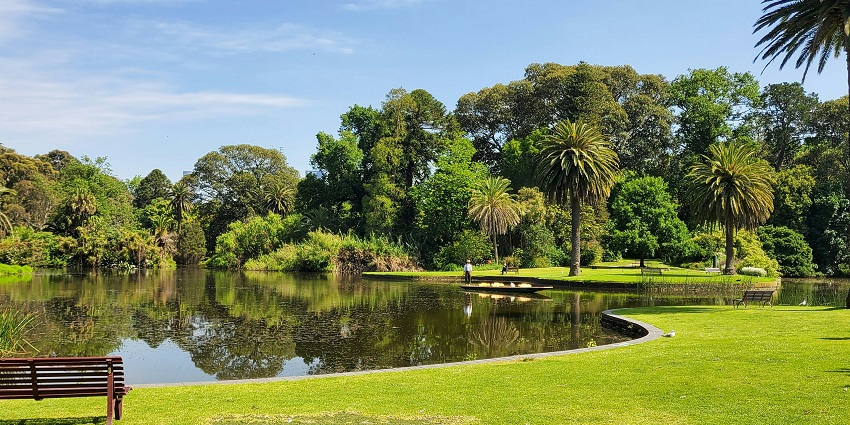 A peaceful picnic area with green grass and trees at Memorial Park in Riverside.