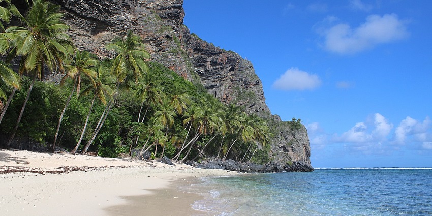 Playa Frontón, one of the secluded beaches in the Dominican Republic with scenic waves, palm trees, and breathtaking rocky cliffs.