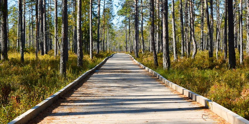 Polonezköy Nature Park with green trees and walking trails near Istanbul.