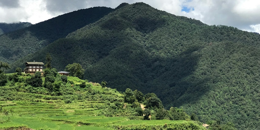 Punakha valley with buildings standing hidden in the greenery and surrounded by mountains.