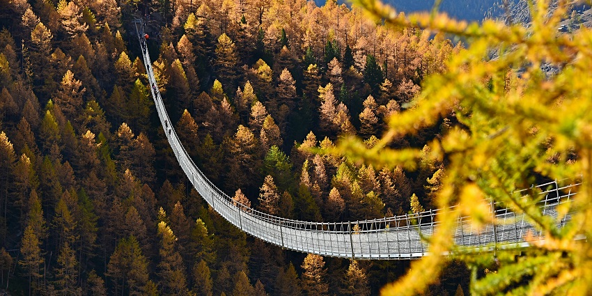 Randa suspension bridge stretches across a deep forested valley with mountain views in the background.