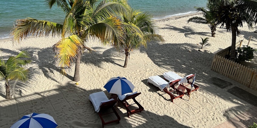 Placencia beach in Belize with a sandy shoreline, deep blue water and green palm trees, one of the best things to see in Placencia Belize.