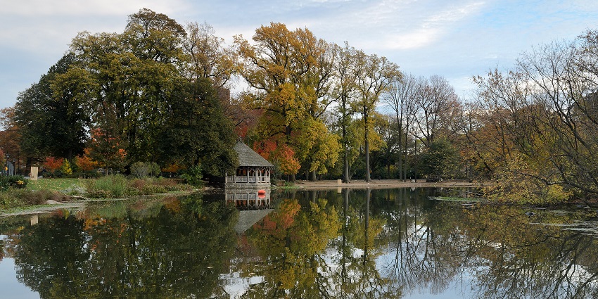 Strolling through White’s Road Park with vibrant autumn trees and calm reflective water.