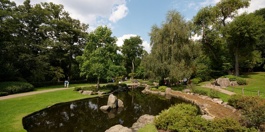Kyoto Garden in Holland Park features a pond, waterfall, rocks, trees, and greenery.