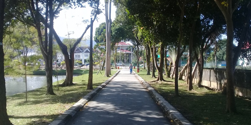 Straight pathway lined with trees and greenery near a lake at Lecanto Community Park.
