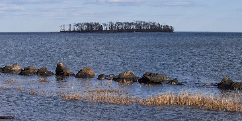 Rocky shoreline with still water and a distant tree-covered island under a blue sky.