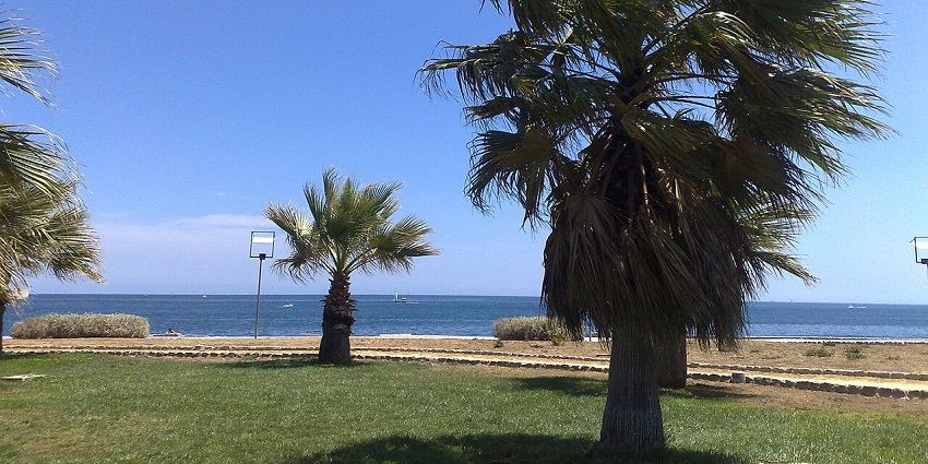 Foro Italico waterfront in Palermo with small palm trees, green grass, and a walking pathway.

