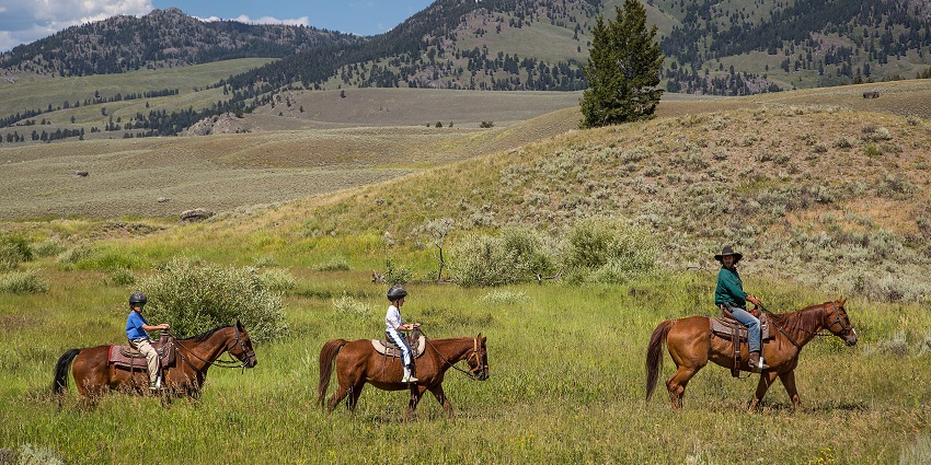 Group of people horseback riding along a scenic forest trail at Rymar Ranch in Lecanto.
