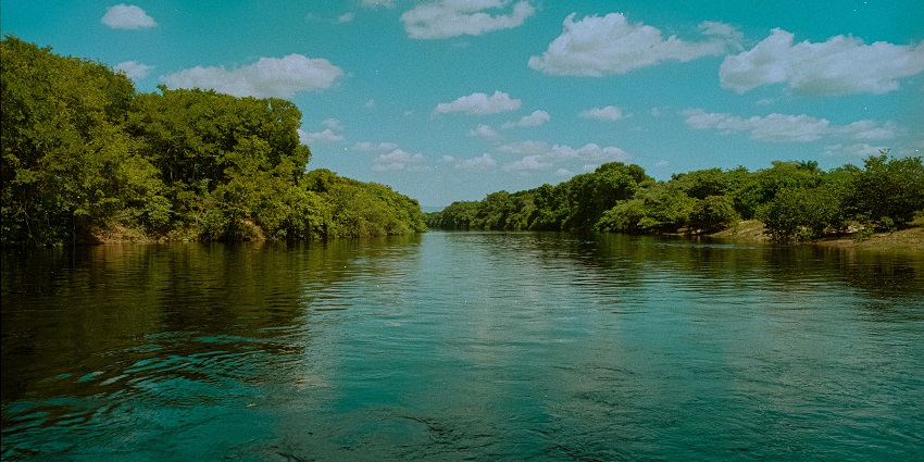 Visiting the Essequibo River flowing through lush greenery—top things to do in Guyana.

