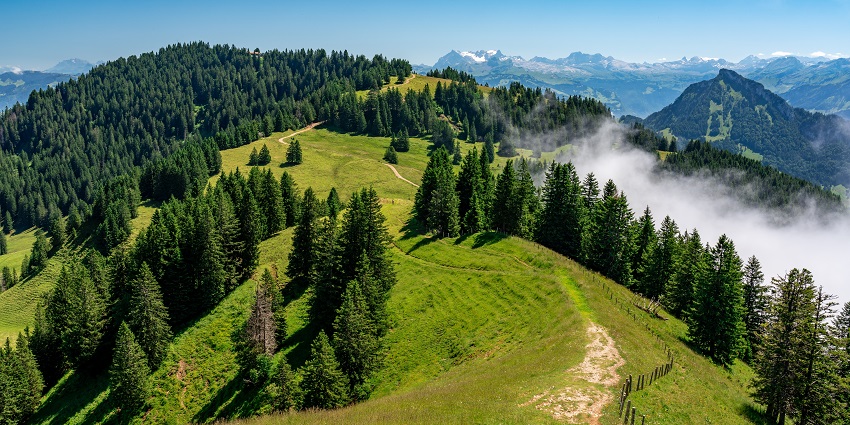 Rigi Kulm summit with alpine views and greenery, one of the top places to visit near Lucerne.