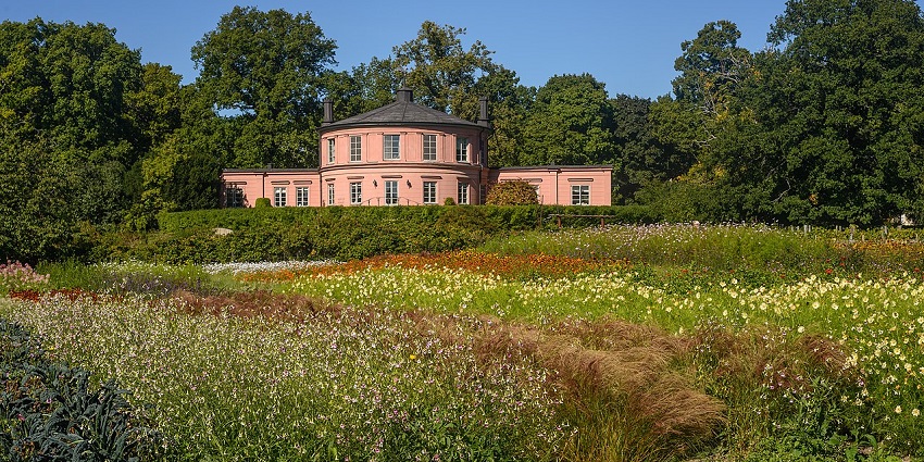 Rosendal garden with multiple unique flowers growing, a pink painted building and greenery.