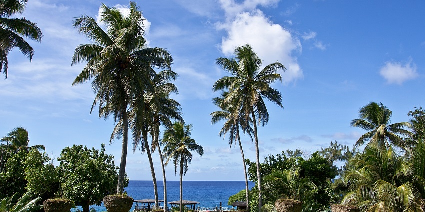Lush tropical park with palm trees on Rota Island, one of the scenic places to visit near Hawaii.