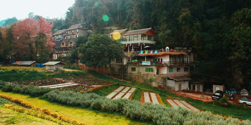 Royal Botanical Garden with vibrant flowers, walking trails, and scenic mountain views in Bhutan.