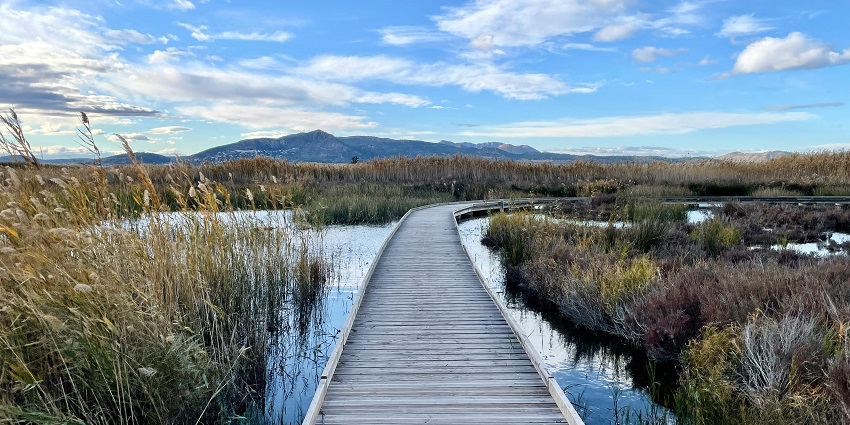 Sagunto in Spain, with a wooden walking pathway over a small water body, one of the best places to visit near Valencia.